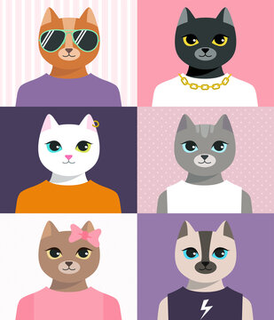 Set of humanized cats portraits. Fashion cartoon animals in clothes. Colored characters avatars in t-shirts and glasses