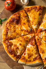 Homemade Italian Cheese Pizza