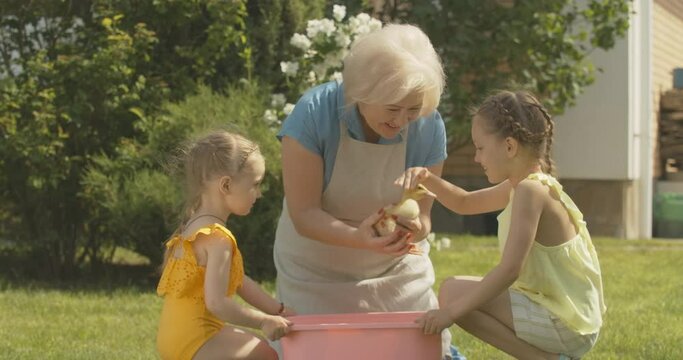 Positive senior woman caressing cute little duckling as granddaughters coming to stroke baby bird. Caucasian grandmother enjoying sunny summer day with adorable girls and pet. Cinema 4k ProRes HQ.
