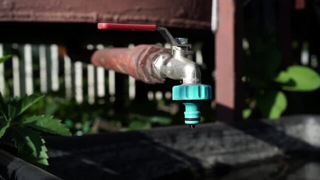 RAIN WATER