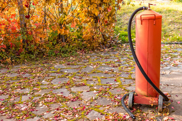 A cylinder of liquefied gas stands against a background of yellow leaves