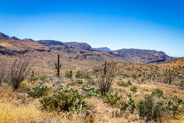 Apache Trail Scenic Drive View