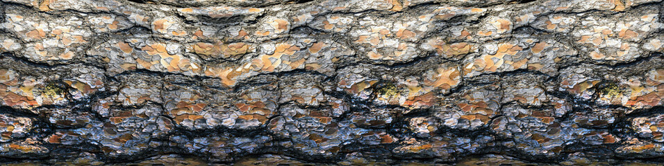 The background of a pine tree bark.
