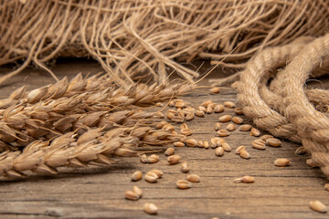 Ears of ripe wheat, scattered grains on a wooden board. Jute rope.