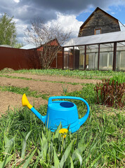 Blue garden watering can against the background of garden beds