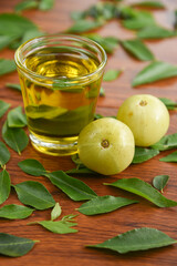 Ayurvedic Oil or Herbal Hair Oil with Herbs tulsi,  curry leaves, oil, amla berry , amla powder , aloe vera ingredients for making medicine Kerala, India. Indian Ayurveda treatment for hair and skin.