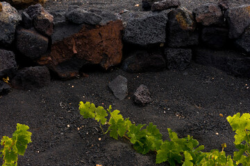 Lanzarote vulkanische Insel mit Wein, Architektur und Lava, Felsen und Meer