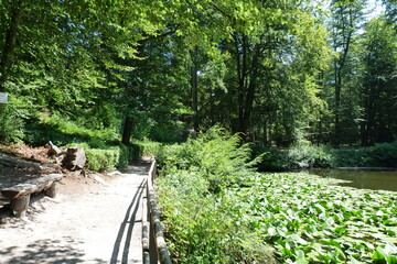 Englischer Garten Eulbach im Odenwald bei Michelstadt