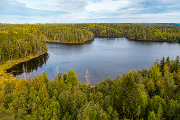 Blue lake and autumn green, yellow forest around. Aerial drone view. Karelia nature, Russia