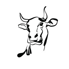 Cow head icon. Farm animal with horns one sketch. Hand drawn doodle ink outline drawing, stock vector illustration isolated on white background.