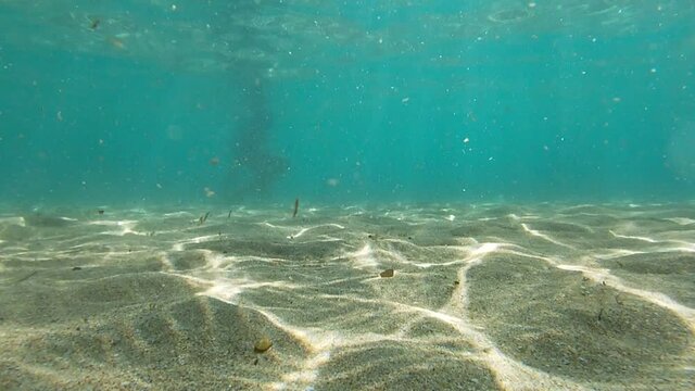 Ripresa fondale marino di una spiaggia realizzata a pochi metri di profondit&agrave;