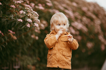 Cute baby boy walking in the beige jacket at sunset