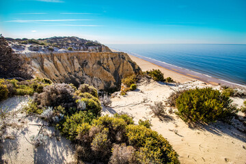 coast of the sea