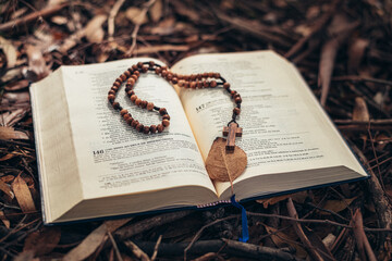 Expanded book lying on the ground covered with autumn leaves and tree cones. Autumn style and mood. reading books and praying during autumn. colors and beauty of autumn.