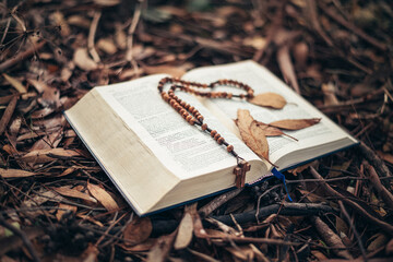 Autumn style and mood. reading books and praying during autumn. colors and beauty of autumn. land covered with autumn leaves and tree cones