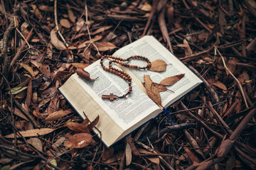 Bible and rosary in autumn. A book lying on the ground covered with autumn leaves and cones. colors and beauty of autumn.