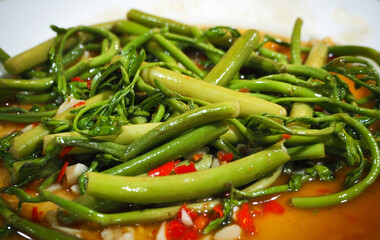 Stir-fried water mimosa with chilli.