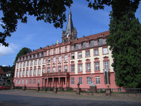 Schloss in Erbach