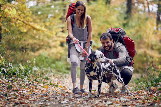 A happy couple at hiking posing for a photo with their dog