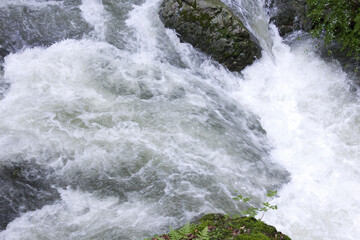 箕面国定公園の箕面川の渓流