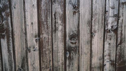 Walnut wood texture.  Wooden Texture element