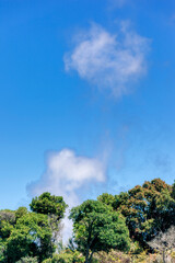 Obraz premium Rising steam over geothermal pool