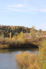autumn in the forest