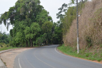 road in the forest