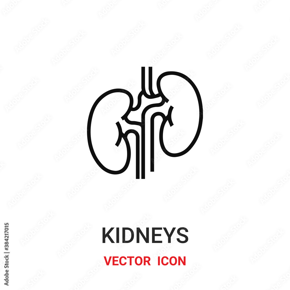 Aufkleber kidneys icon vector symbol. kidneys symbol icon vector for your design. modern outline icon for your