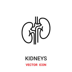 kidneys icon vector symbol. kidneys symbol icon vector for your design. Modern outline icon for your website and mobile app design.