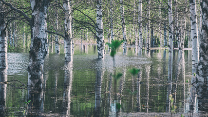 Spring floods in Rovaniemi, Finland.