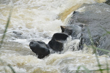 Fototapeta premium water flowing into the river