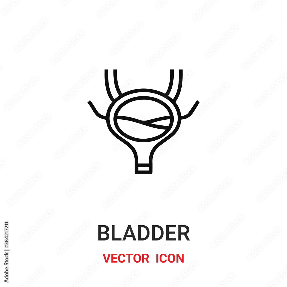 Poster bladder icon vector symbol. bladder symbol icon vector for your design. modern outline icon for your