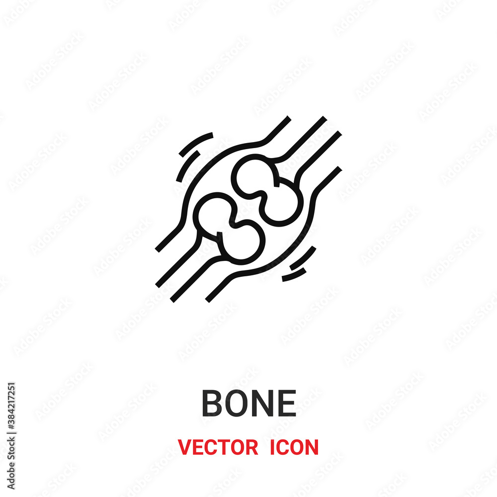 Poster bone icon vector symbol. bone symbol icon vector for your design. modern outline icon for your websi