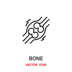 bone icon vector symbol. bone symbol icon vector for your design. Modern outline icon for your website and mobile app design.