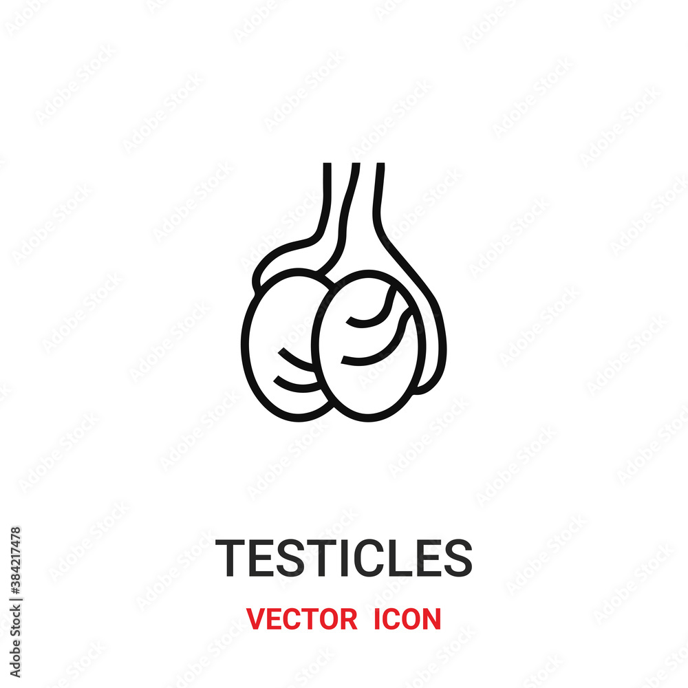 Poster testicles icon vector symbol. testicles symbol icon vector for your design. modern outline icon for 