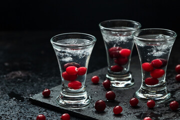  Russian vodka with cranberry on dark table