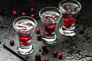 Frozen glass with cold vodka with cranberry on dark table