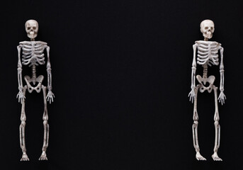 skeleton on black background with place for text, halloween holiday