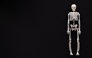 skeleton on black background with place for text, halloween holiday