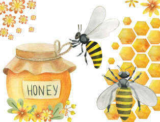 Watercolor honey and bees, on a white background