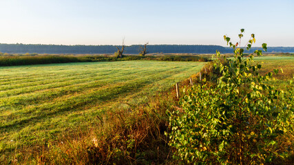 Poranne mgły  Dolinie Narwi,Podlasie, Polska © podlaski49