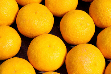 複数の夏みかん