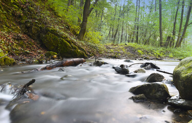 Potok płynący w lesie
