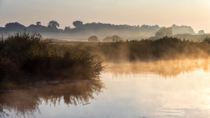 Poranne mgły  Dolinie Narwi,Podlasie, Polska © podlaski49