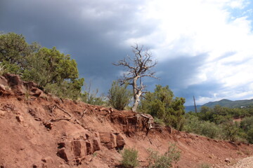 joshua tree national park