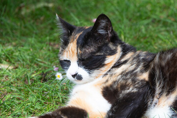 Fototapety na wymiar - Fototapeta24.pl