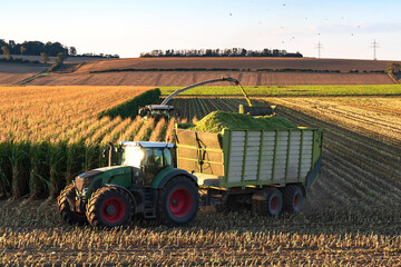 harvest of corn with tractor in field