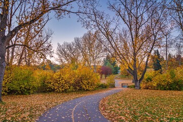 Pathway Through An Autumn Park