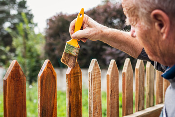 Painting wooden picket fence by wood stain. Active senior man repairing old fence at backyard